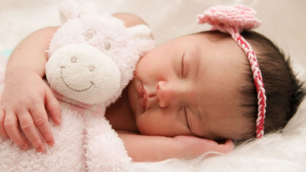 Baby sleeping and holding a pink cow cuddly toy