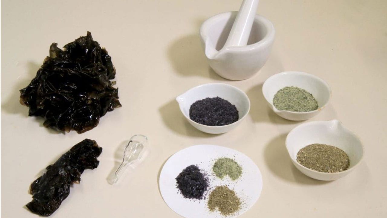 Seaweed, pestle and mortar and three different coloured powders on a cream coloured background