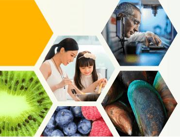 Foodomics 2019 brings international experts on the High-Value Nutrition eco-system to New Zealand