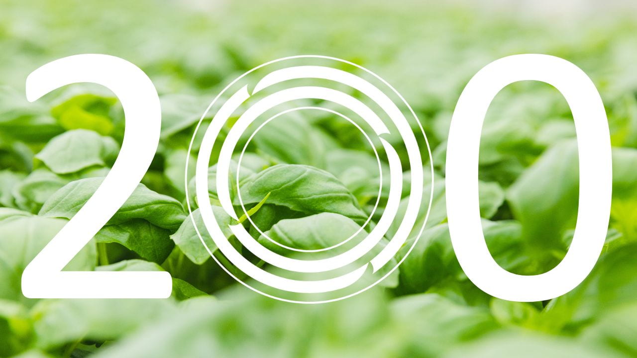 Basil leaves with number 200 in white